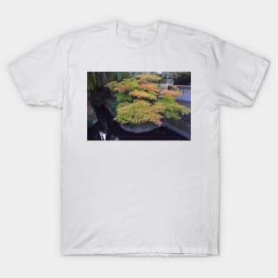 Pond at Christ Church College, Oxford, UK T-Shirt